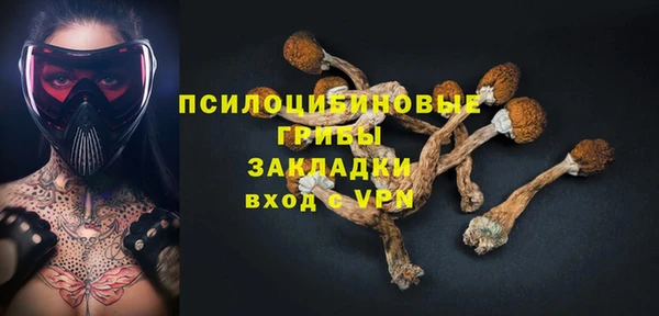 ГАЛЛЮЦИНОГЕННЫЕ ГРИБЫ Беломорск