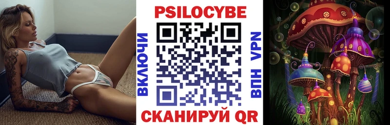 гидра ссылка  Курчатов  Галлюциногенные грибы ЛСД 
