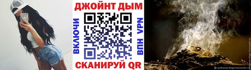 kraken как войти  Курчатов  Шишки марихуана THC 21% 